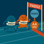 FADS1 et FADS2