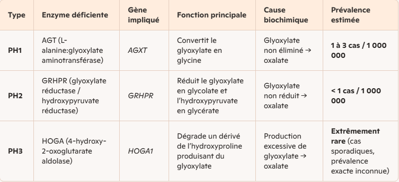 Hyperoxaluries primaires